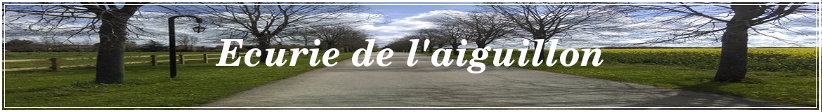 Ecurie de l'aiguillon